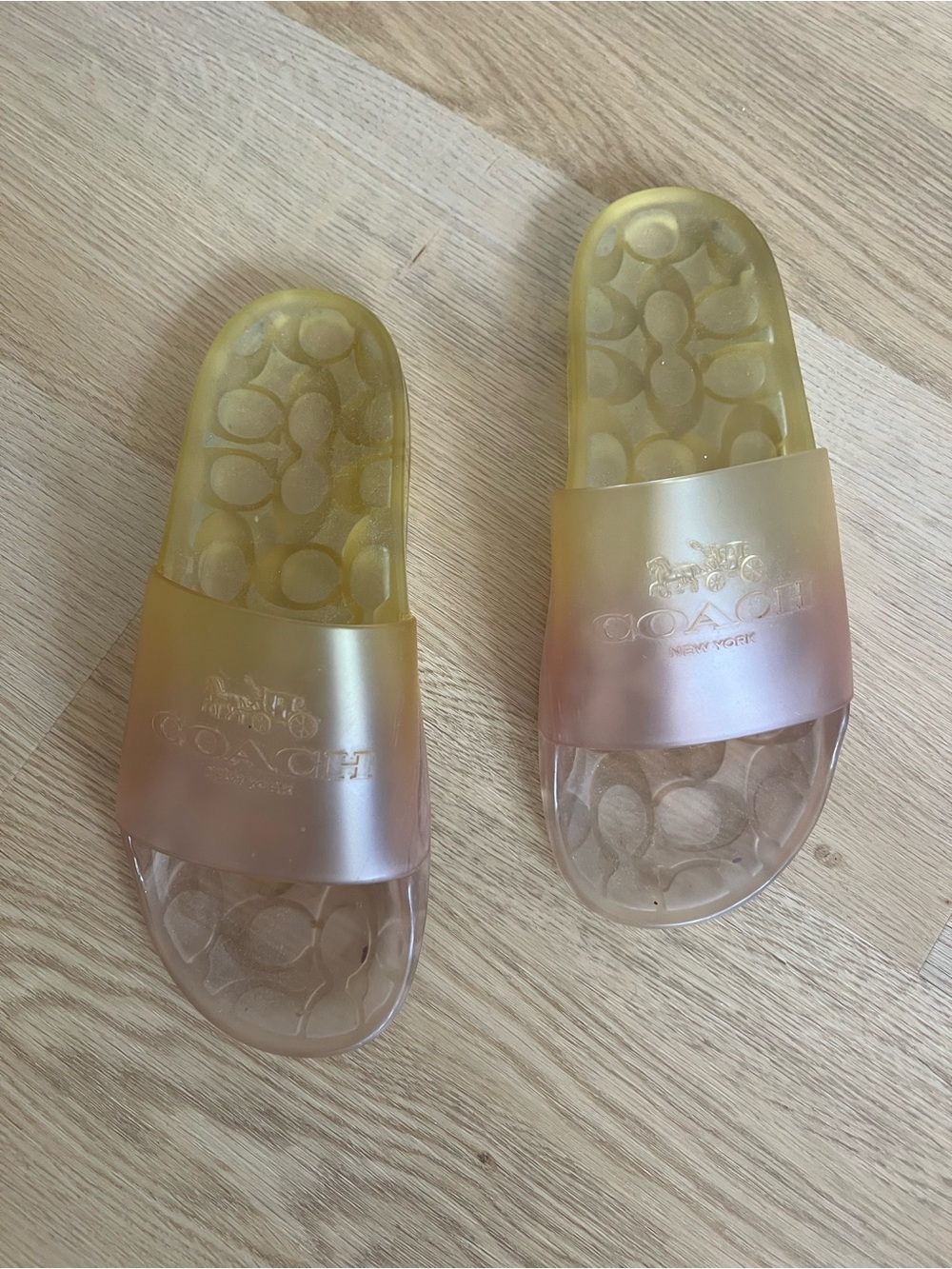 Coach Gradient Iridescent Slide Sandals in Yellow and Bronze-Taupe